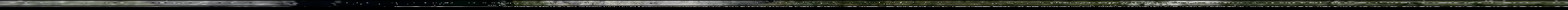 avhrr_3_rgb_MSA_(channel_2)_corrected.png